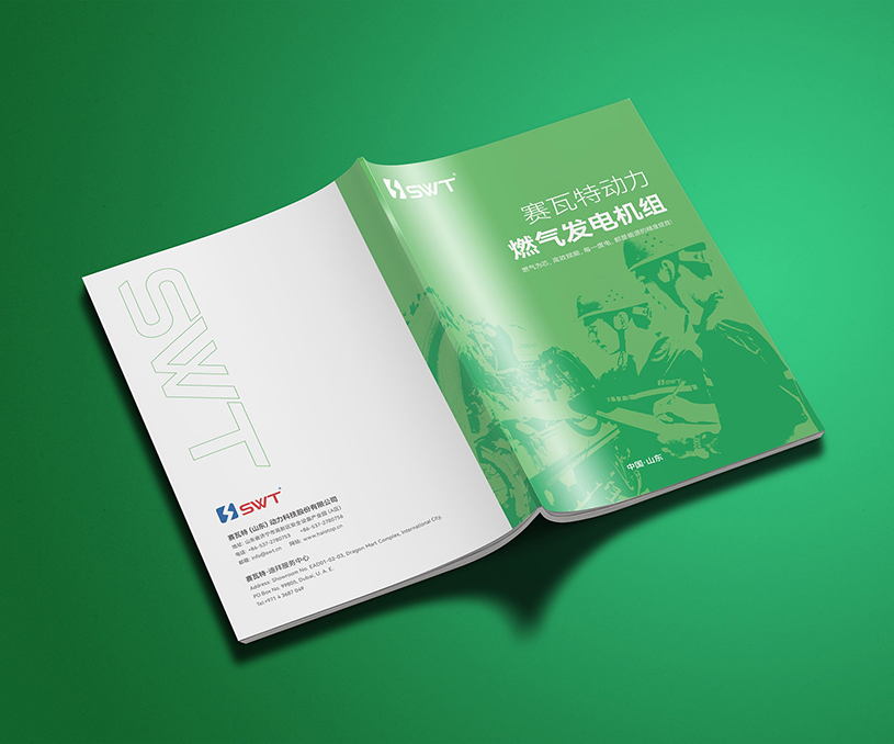赛瓦特燃气发电机组