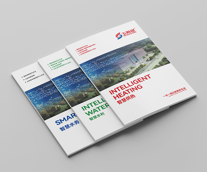 五颗星画册设计